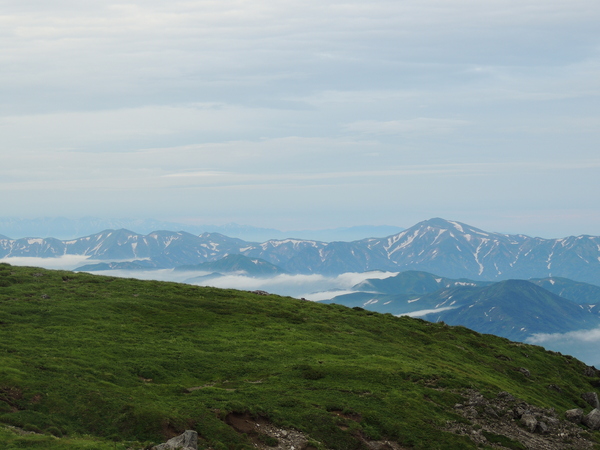 f0118332_232681.jpg