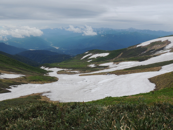 f0118332_2391961.jpg
