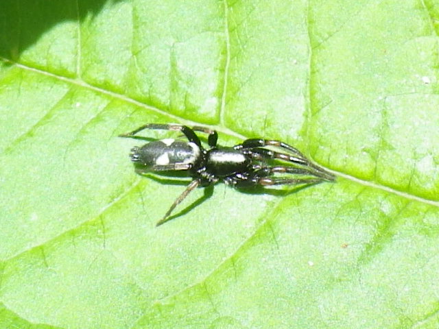 f0118332_9231037.jpg