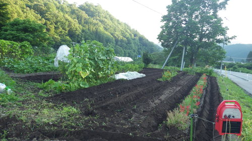 c0300035_11434457.jpg