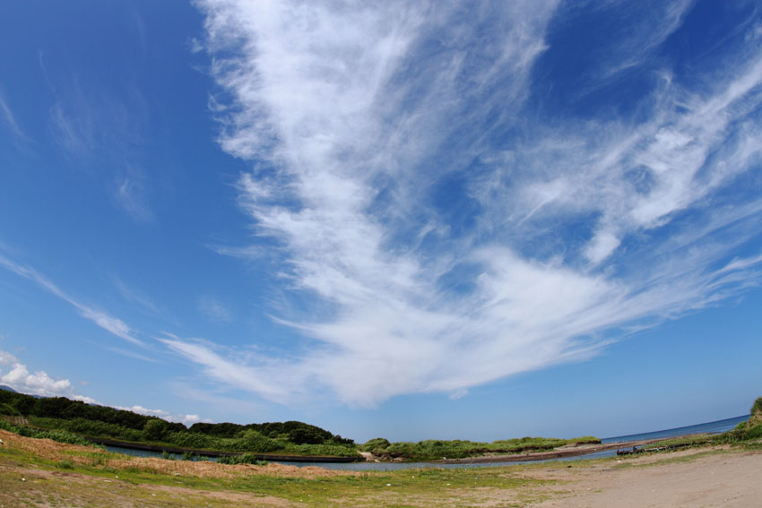 d0069235_22192117.jpg
