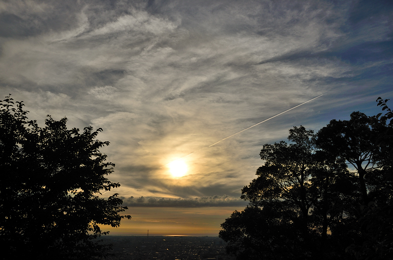 e0055138_227459.jpg