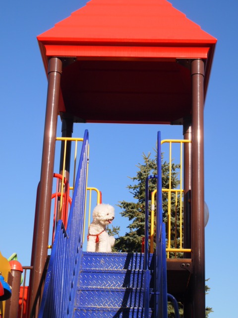 c0117239_7415191.jpg