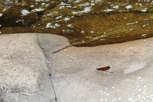 c0172139_21594975.jpg
