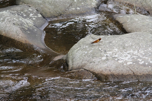 c0172139_22112912.jpg