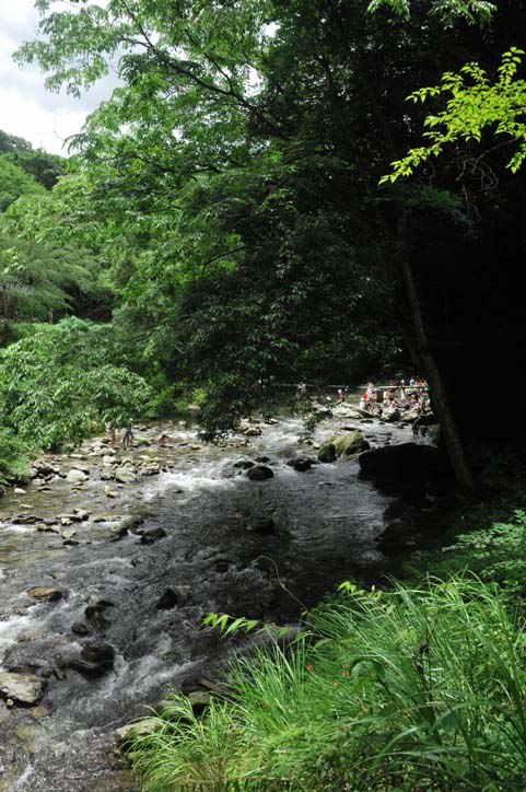b0075541_21503950.jpg