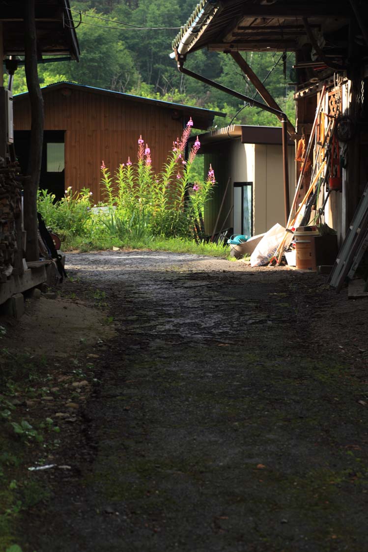 d0177549_8342920.jpg