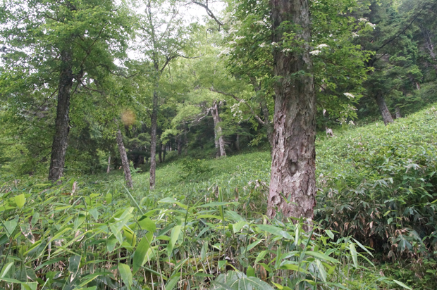 f0214649_12145042.jpg