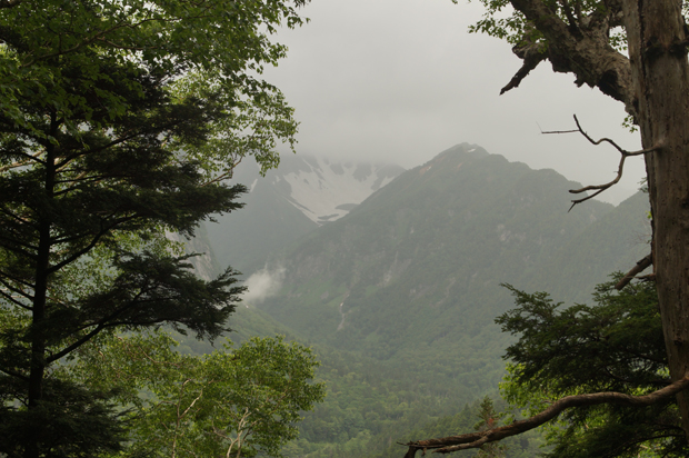 f0214649_1223524.jpg