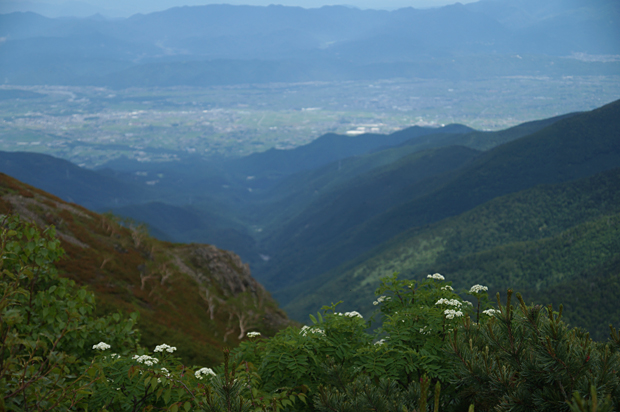 f0214649_1648211.jpg