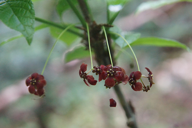 f0214649_1684070.jpg