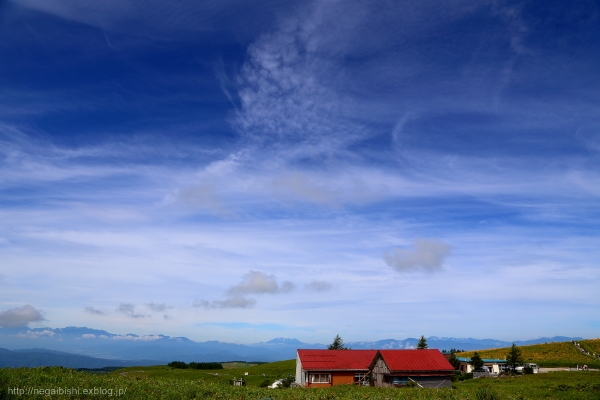 b0233456_2104349.jpg
