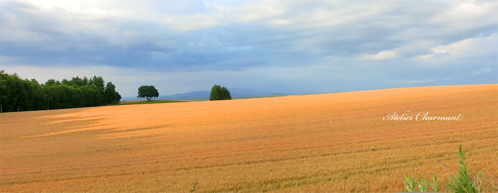 f0229759_235775.jpg