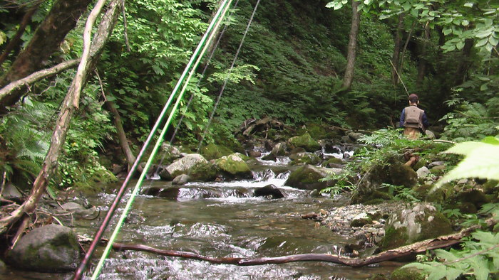 b0208961_8333974.jpg
