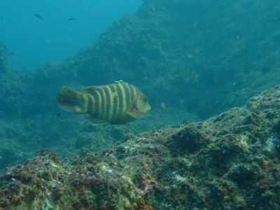 e0184067_10252728.jpg