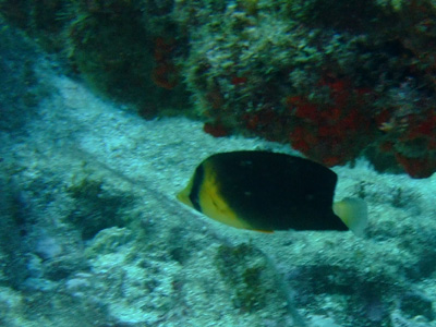 e0184067_10255786.jpg