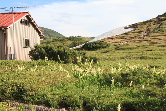 f0223068_7403247.jpg