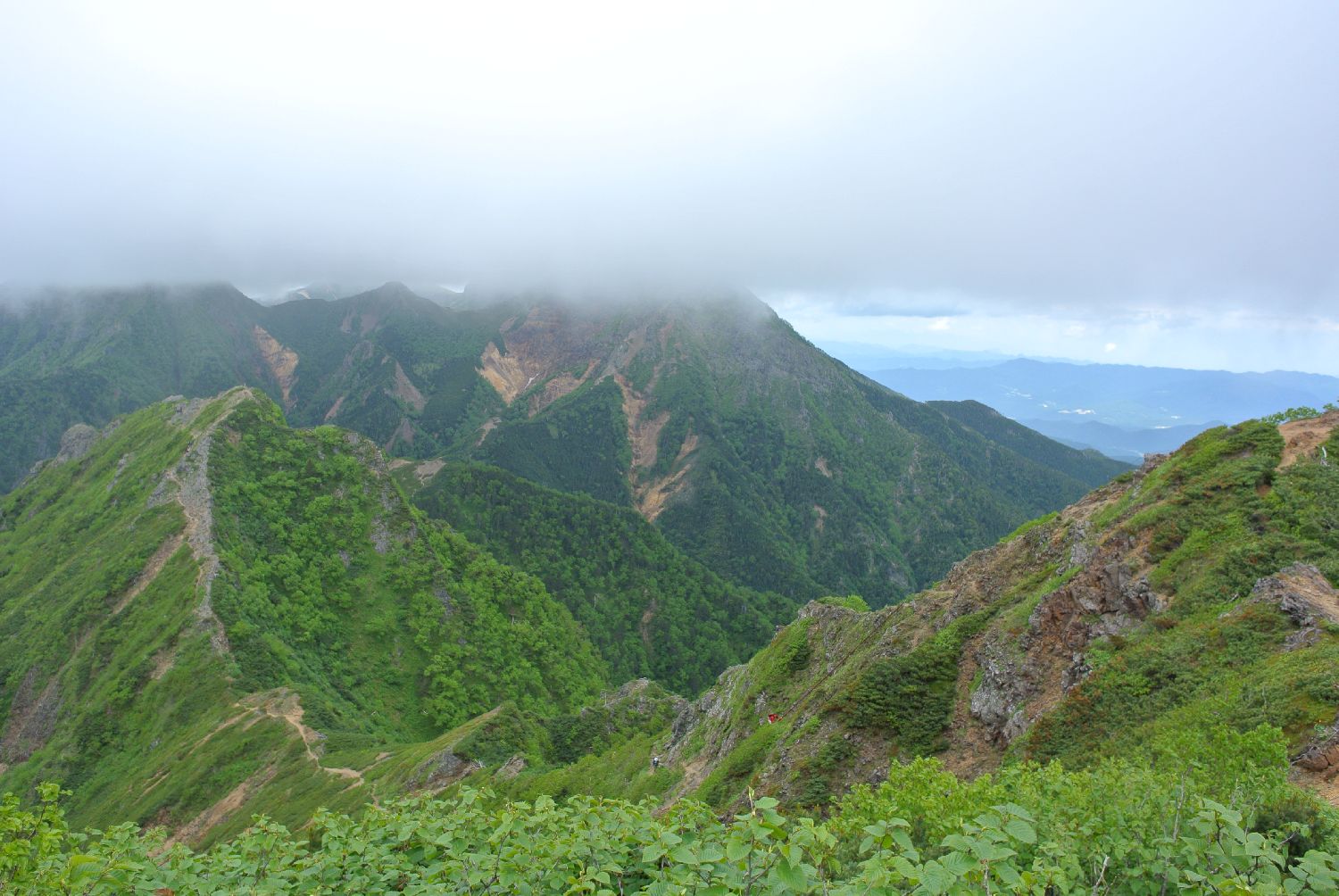 e0307372_206792.jpg
