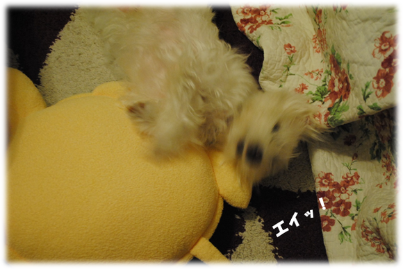 b0242873_14534669.png