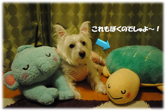 b0242873_14543595.png