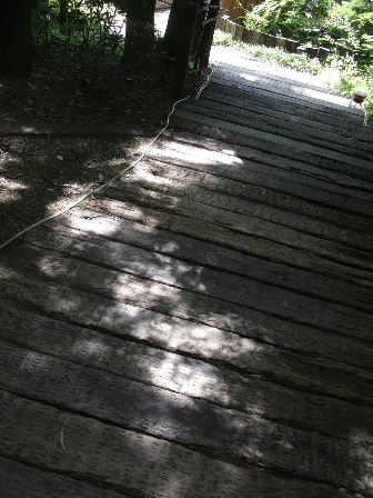 f0039281_180196.jpg