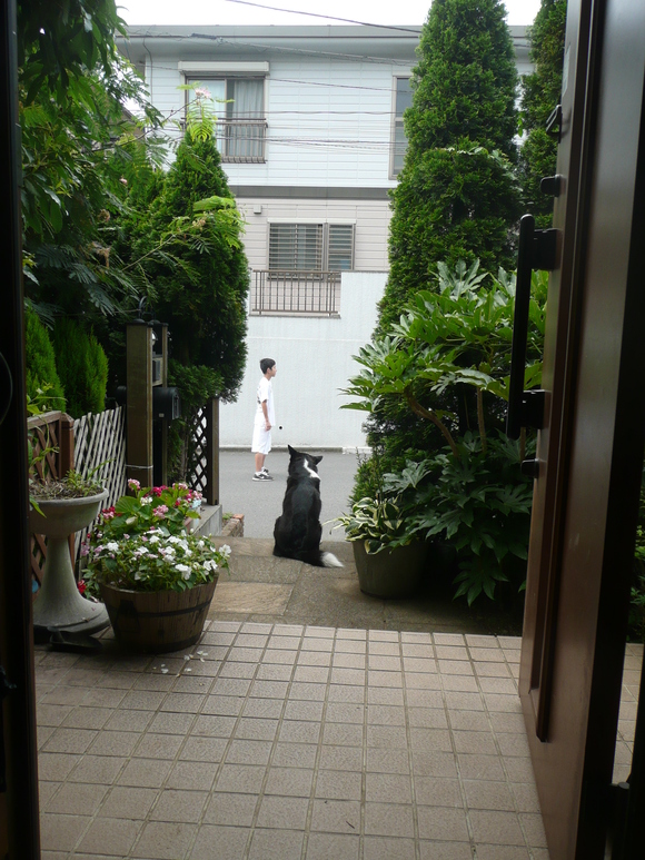b0122485_151176.jpg