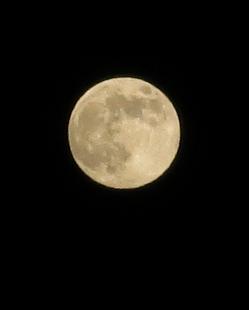 e0130185_2015686.jpg