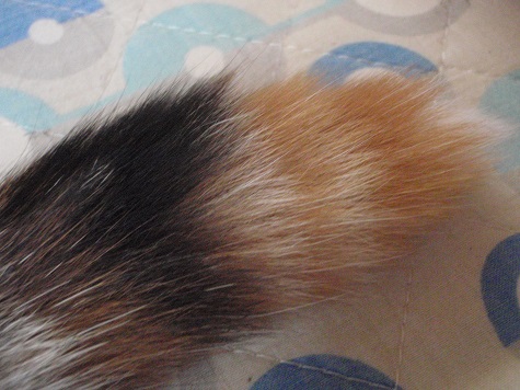 b0225187_1474732.jpg