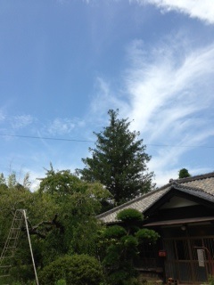 c0131488_715688.jpg