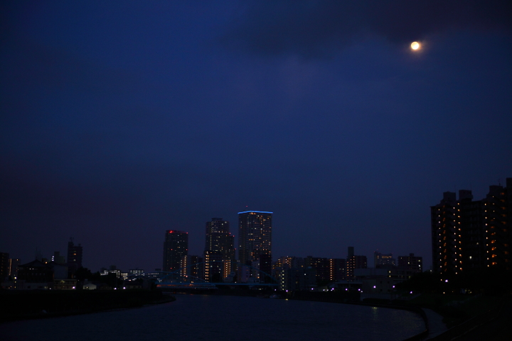 f0164989_032456.jpg