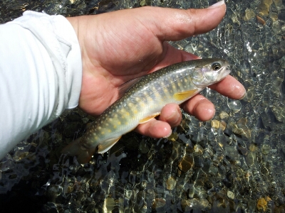 b0233990_22275874.jpg