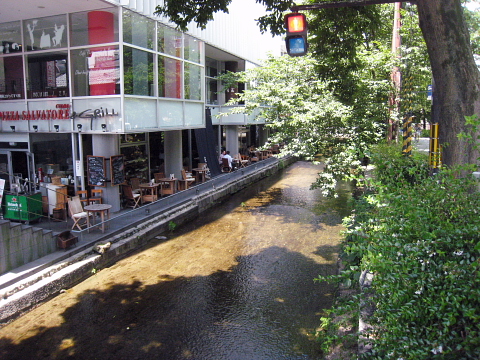 f0131192_8242385.jpg