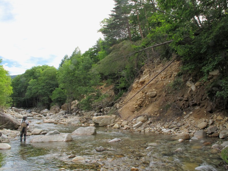 f0129994_10195494.jpg