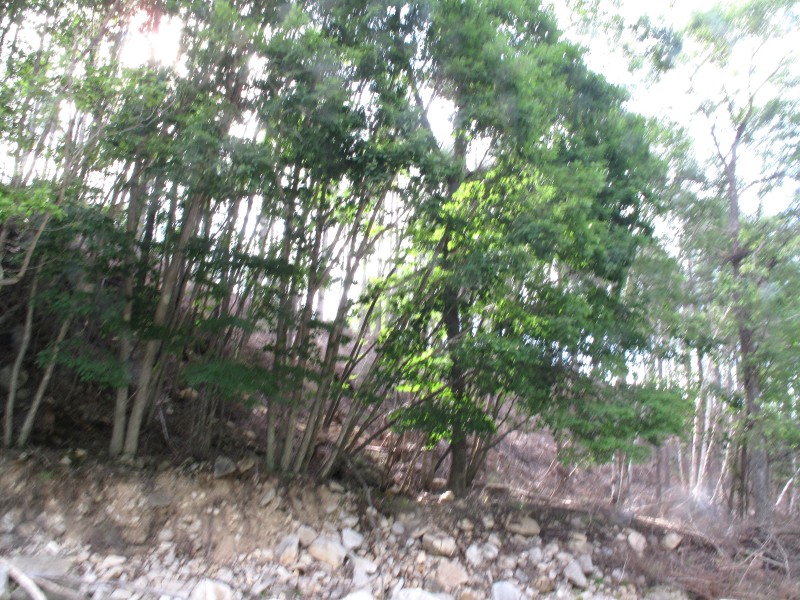 f0129994_1020169.jpg