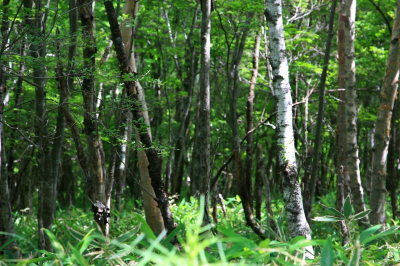 f0129994_9291927.jpg