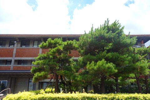 f0137694_2348484.jpg