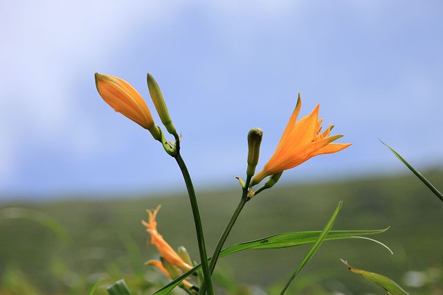 e0137200_230187.jpg