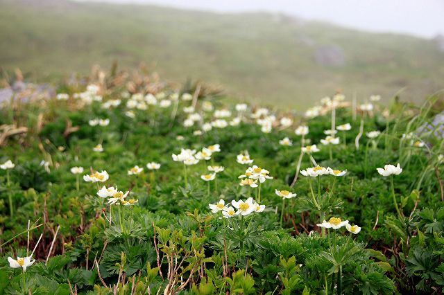 e0137200_232529.jpg