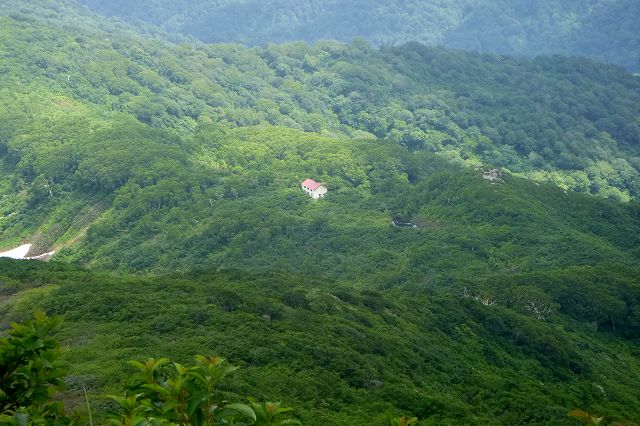 e0137200_2344653.jpg