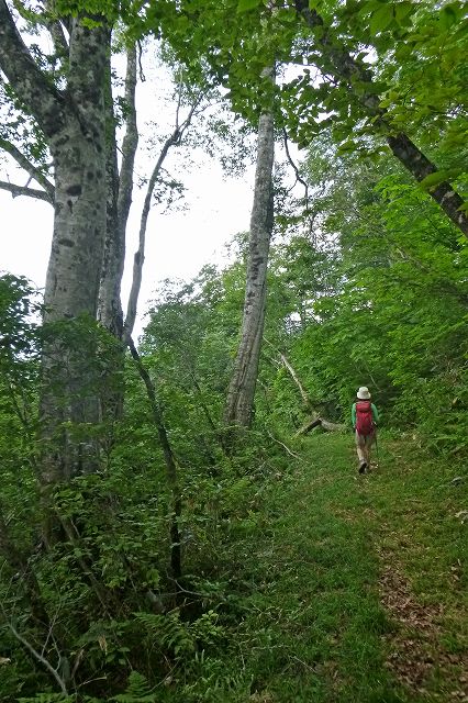 e0137200_2375534.jpg