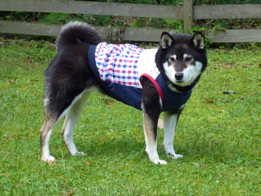 d0293002_1423421.jpg