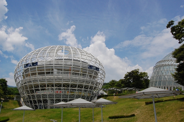 d0133704_13465361.jpg