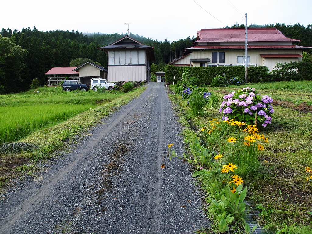 f0138305_2004577.jpg
