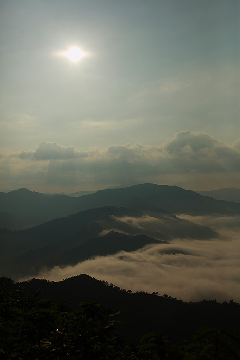 a0148606_1750347.jpg