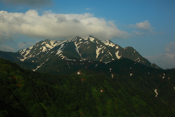 a0148606_17504720.jpg