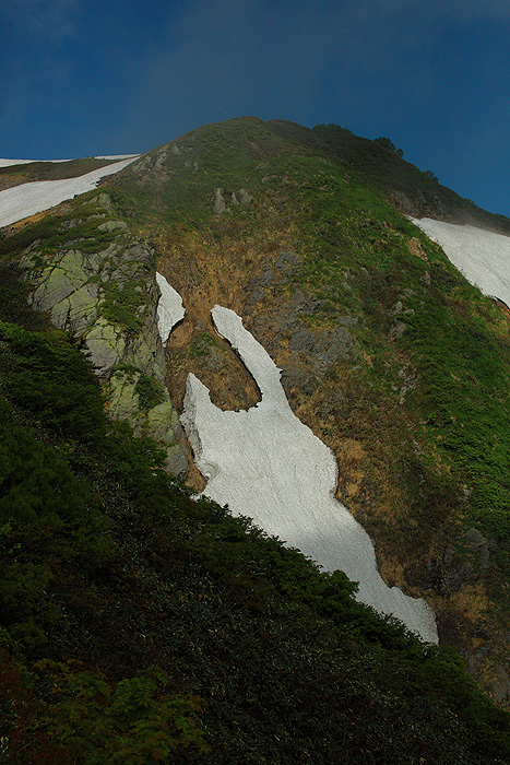 a0148606_17565562.jpg