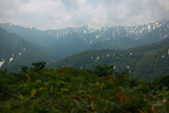 a0148606_18114148.jpg