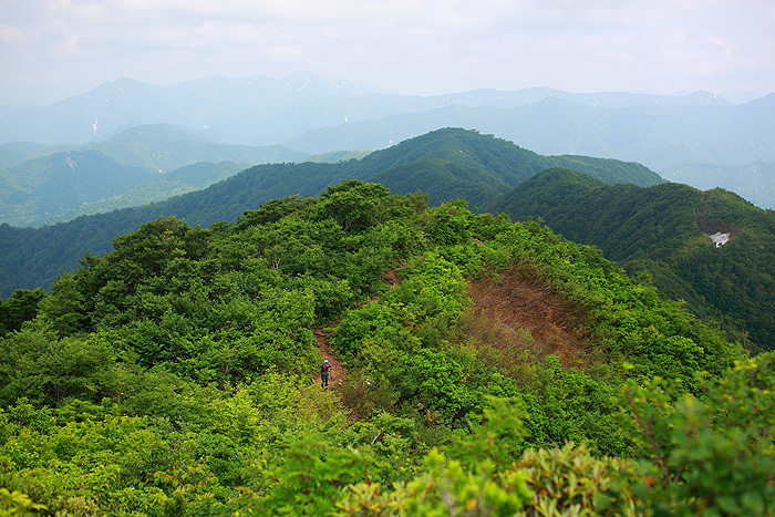 a0148606_1812495.jpg