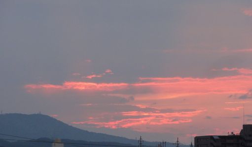 d0330311_16121342.jpg