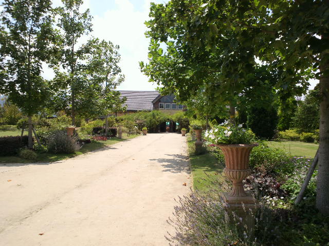 e0099212_1744329.jpg